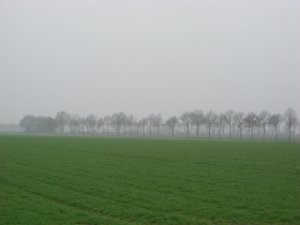 RTF Aschen.2009 018